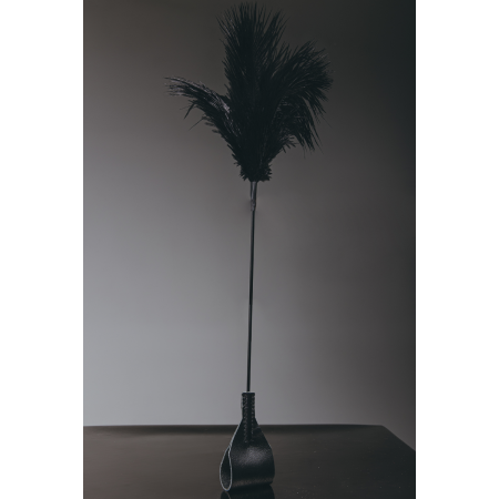 Щекоталка с перьями - стек (черные перья/черная) Щекоталка с перьями - стек (черные перья/черная)