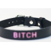Ошейник с надписью BITCH (черный)