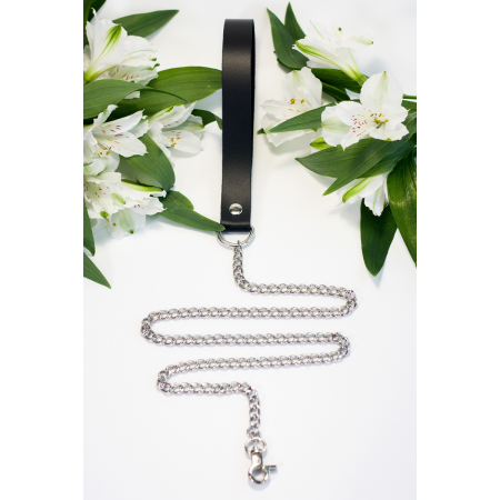 Поводок цепной с карабином Поводок цепной с карабином