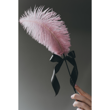 Щекоталка с пером (цвет пыльная роза)