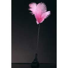 Щекоталка с перьями - стек (розовые перья/черная)