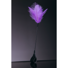 Щекоталка с перьями - стек (фиолетовые перья/черная)