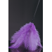 Щекоталка с перьями - стек (фиолетовые перья/черная)