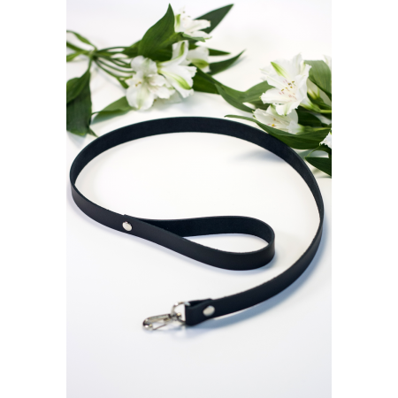 Поводок с карабином